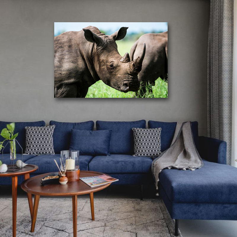 Πίνακας σε καμβά Ρινόκεροι
